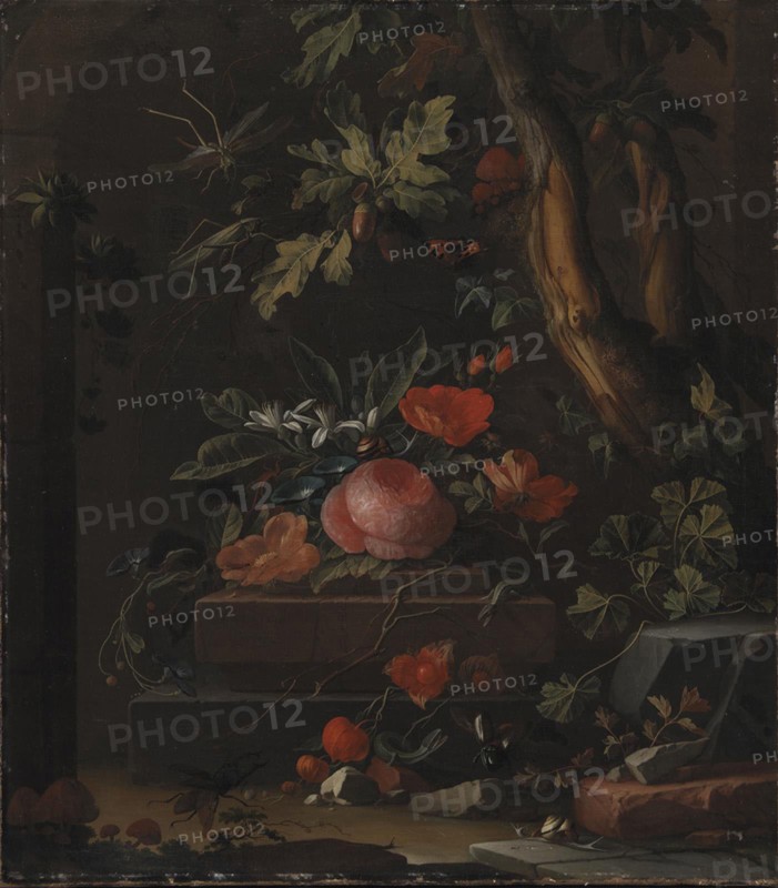 Flowers, 1672-1708. Creator: Elias Van Den Broeck.