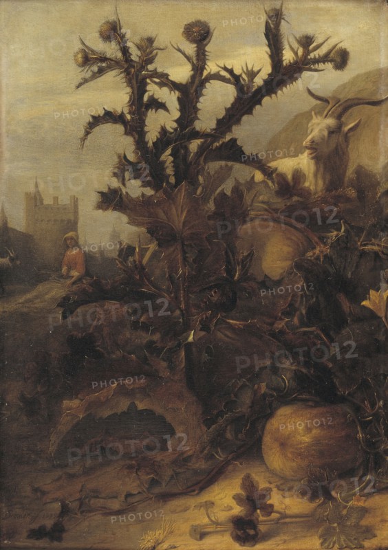 Thistle, Pumpkin and a Goat, 1675. Creator: Lambert Doomer.