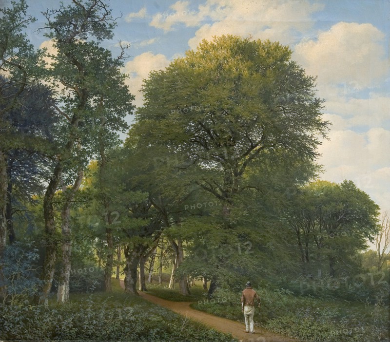 Forest near Charlottenlund, evening, 1818-1831. Creator: Heinrich Christian August Buntzen.