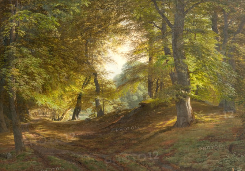 A Wood near Frederiksborg Castle, 1831-1851. Creator: Godtfred Rump.