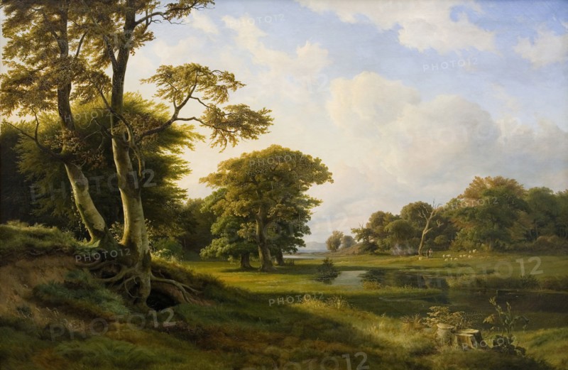 Forest landscape at Hellebæk - Autumn, 1841. Creator: Johann Hermann Carmiencke.