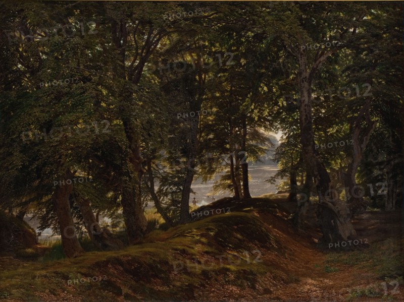 A shady spot at Hestehave near Frederiksborg, 1860. Creator: Godtfred Rump.