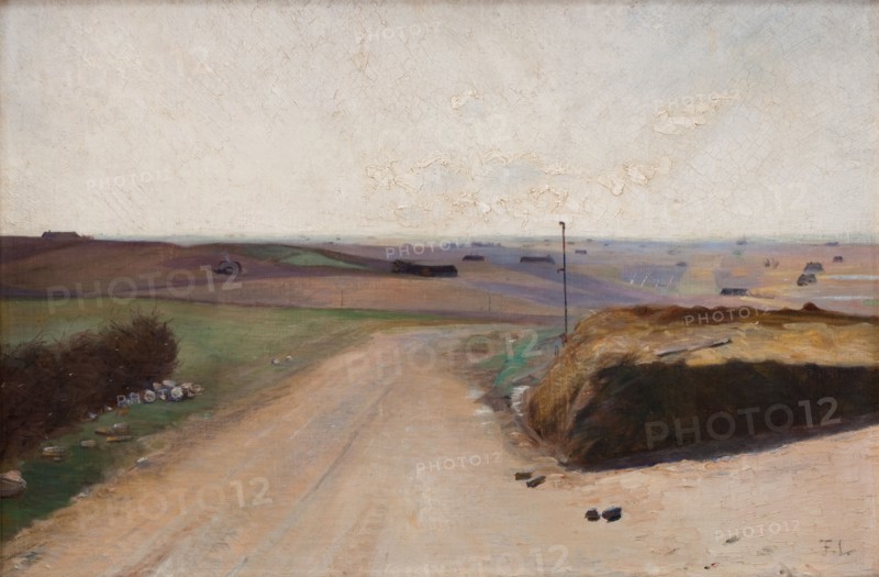 Landscape, Island of Mors, Jutland, 1893. Creator: Fridolin Johansen.
