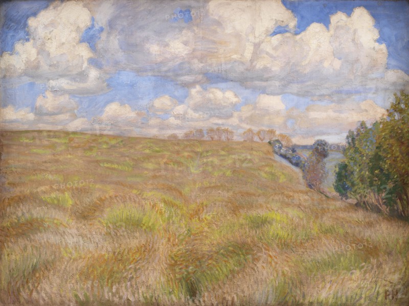 A Field of Waving Rye, 1894. Creator: Peter Hansen.
