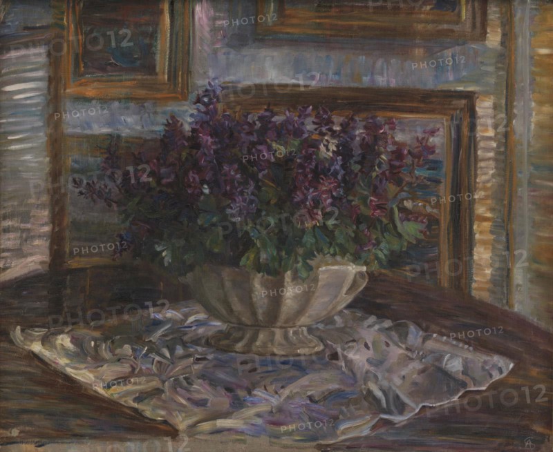 Corydalis, 1901-1909. Creator: Anna Syberg.