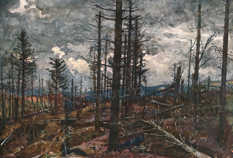 ''Le Bois mutile (cote 955, au-dessus de Metzeral)', 1915. Creator: Unknown.