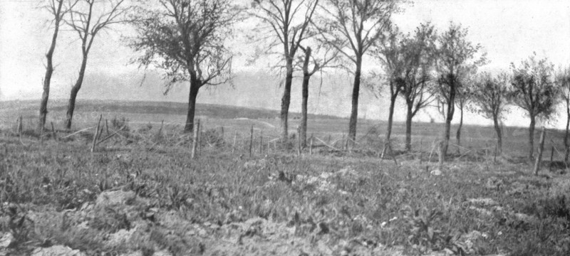 'Le Champ de Bataille; La route d'Esnes a Bethincourt, entre le Mort-Homme et la..., 1916 (1924) Creator: Unknown.