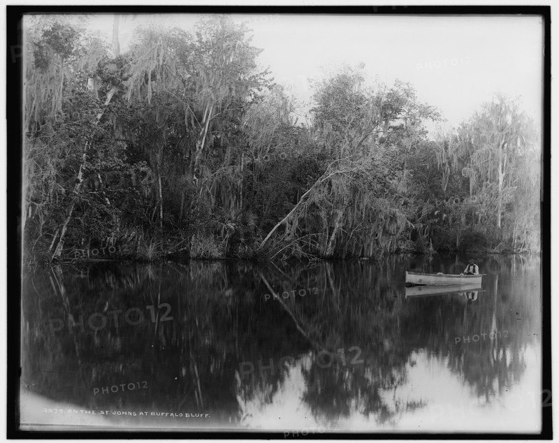 On the St. Johns at Buffalo Bluff, between 1880 and 1897. Creator: William H. Jackson.