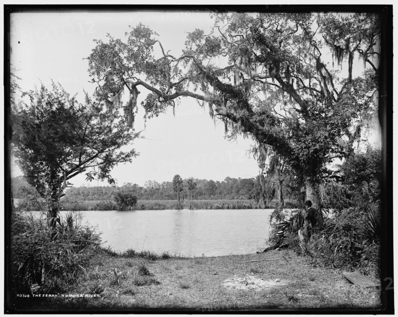 The ferry, Tomoka River, c1894. Creator: William H. Jackson.