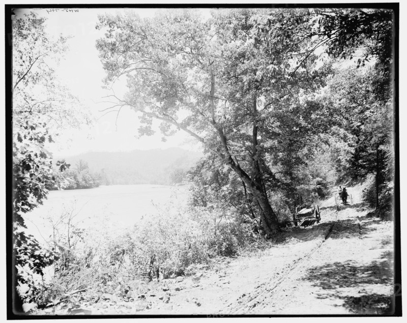 By the French Broad at Jack's Run, N.C., (1902?). Creator: William H. Jackson.