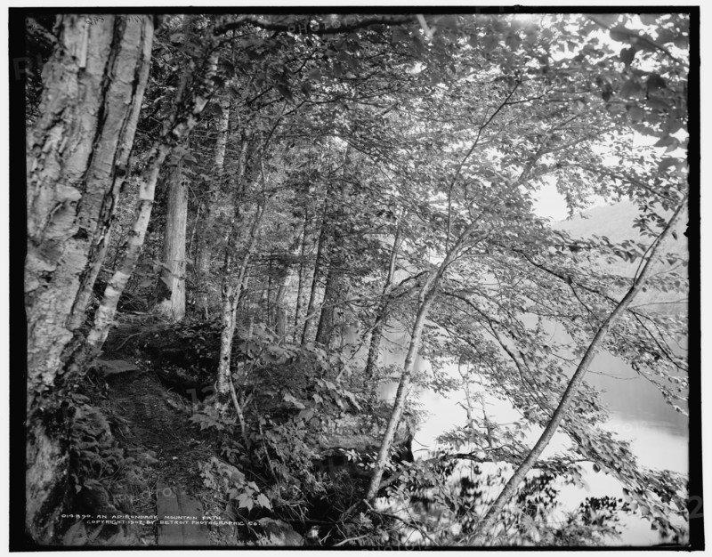 An Adirondack mountain path, c1902. Creator: William H. Jackson.
