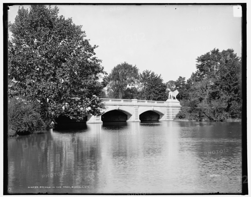 Bridge in the park, Buffalo, N.Y., between 1900 and 1906. Creator: Unknown.