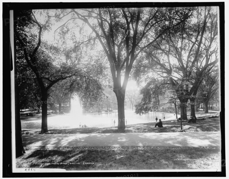 The Frog pond, Boston Common, c1899. Creator: Unknown.