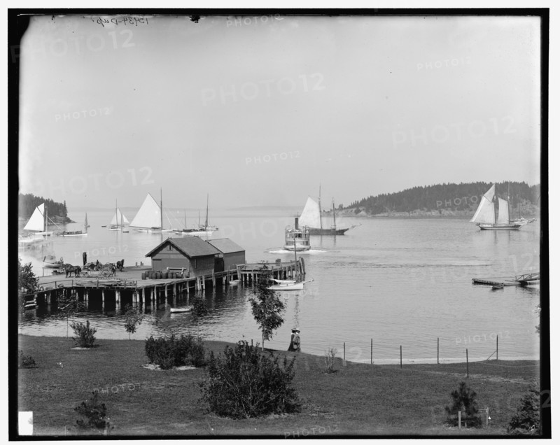 Bar Harbor, Mt. Mount Desert Island, Me., the harbor from Newport House, c1901. Creator: Unknown.