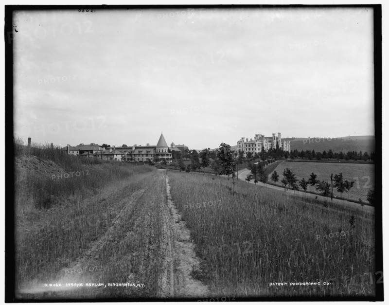 Insane asylum, Binghamton, N.Y., between 1890 and 1901. Creator: Unknown.