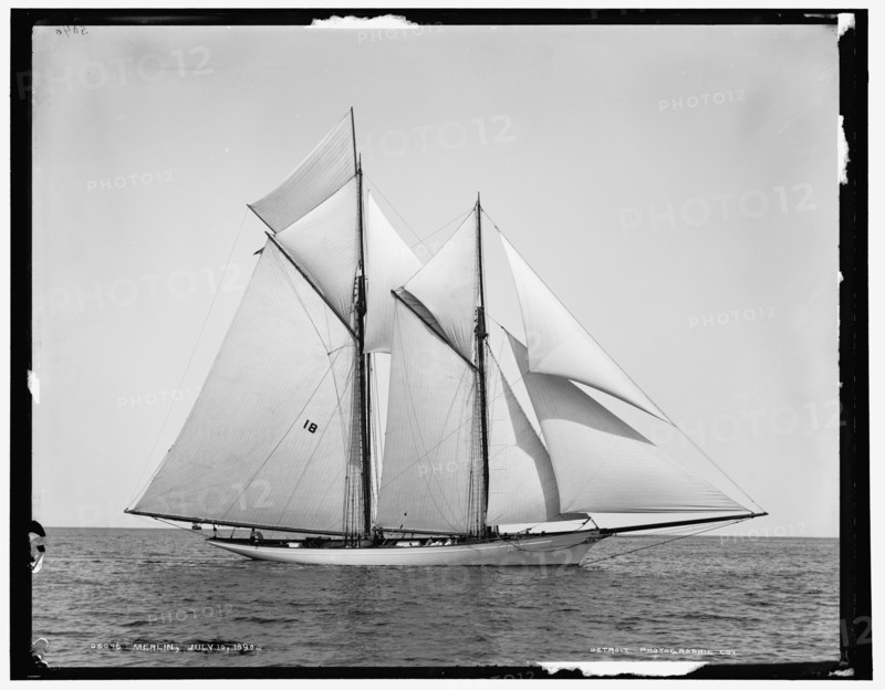 Merlin, 1890 July 10. Creator: Unknown.