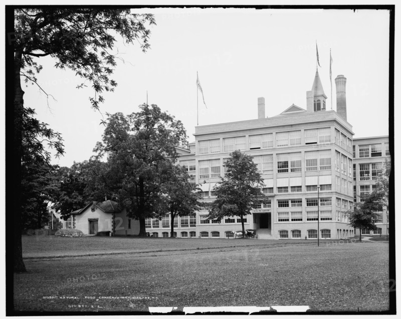 Natural Food Conservatory, Niagara, N.Y., c1904. Creator: Unknown.