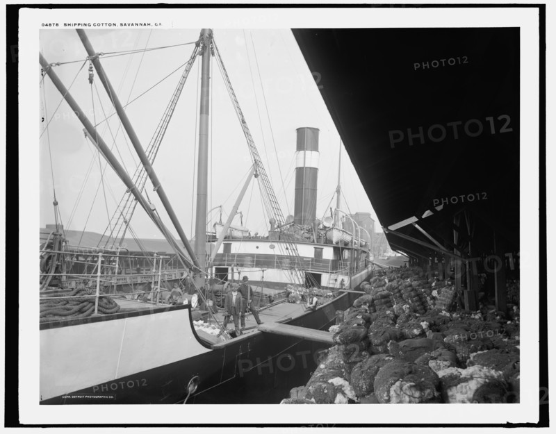 Shipping cotton, Savannah, Ga., between 1890 and 1901. Creator: Unknown.