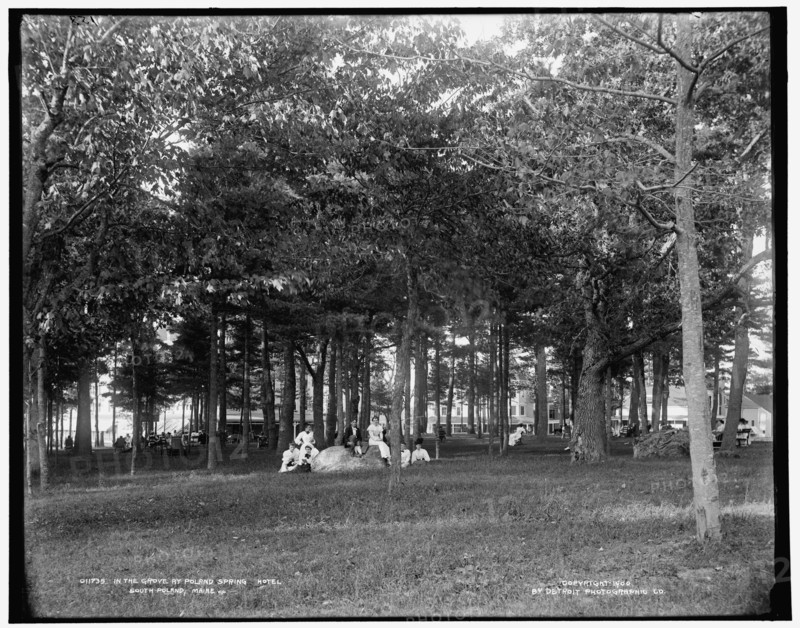 In the grove at Poland Spring Hotel, South Poland, Maine, c1900. Creator: Unknown.