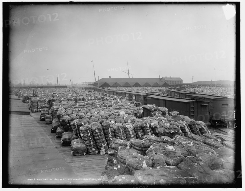 Cotton at railway terminus, Savannah, Ga., between 1890 and 1901. Creator: Unknown.