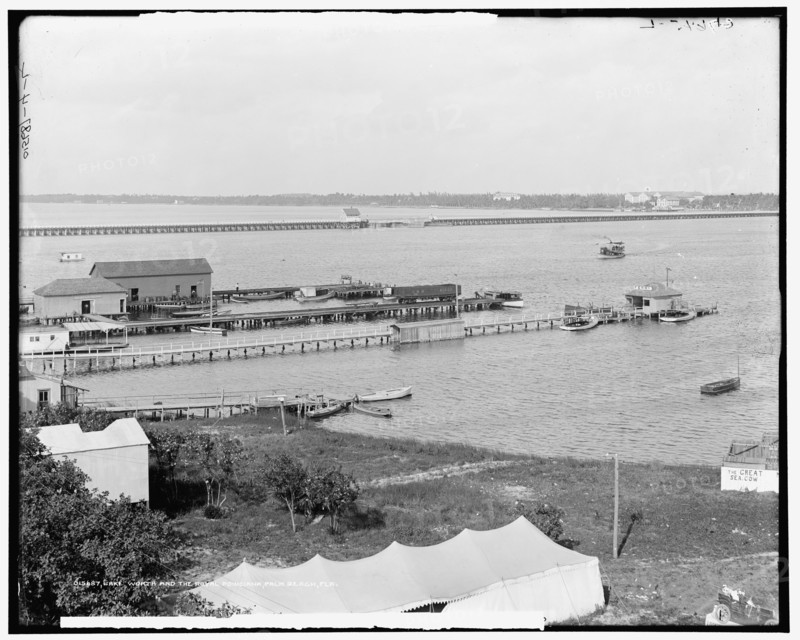 Lake Worth and the Royal Poinciana, Palm Beach, Fla., between 1900 and 1915. Creator: Unknown.
