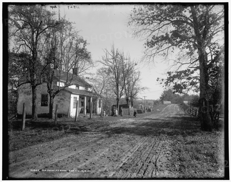 Old country road, Far Hills, N.J., c1900. Creator: Unknown.