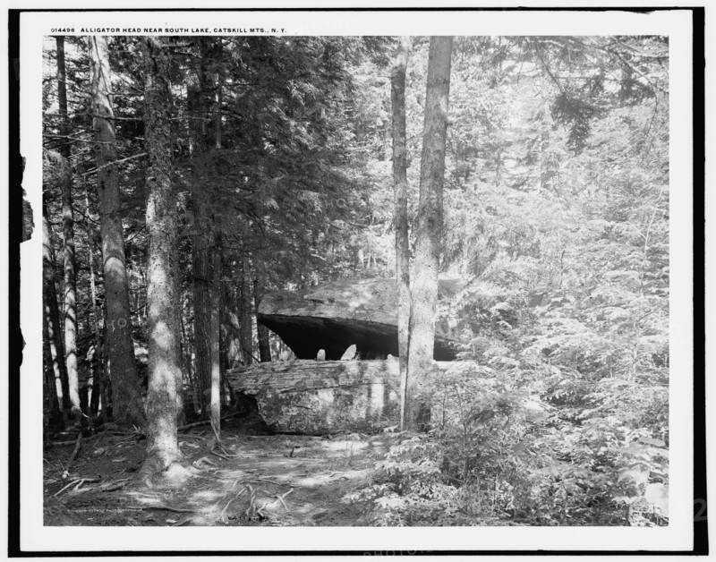 Alligator Head near South Lake, Catskill Mts., N.Y., c1902. Creator: Unknown.