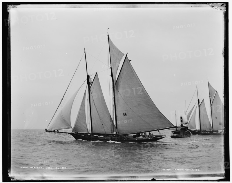 Sea Fox, 1889 July 15. Creator: Unknown.