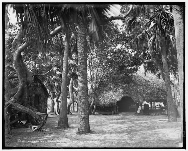 Alligator Joe's bungalow in the jungle, Palm Beach, Fla., c1904. Creator: Unknown.