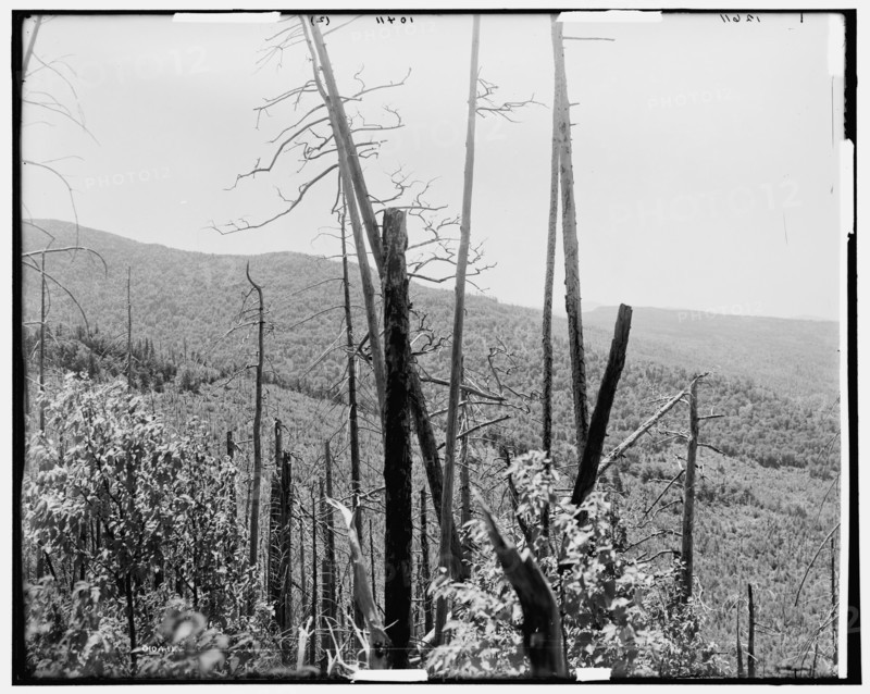 Zealand Valley from Mt. Echo, White Mountains, c1900. Creator: Unknown.