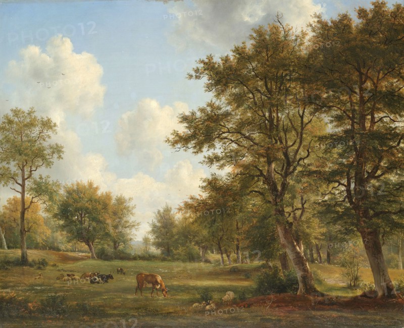 Landscape near Hilversum, 1820-1839. Creator: Georgius Jacobus Johannes van Os.