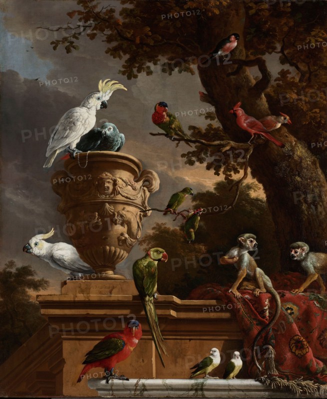 The Menagerie, c.1690. Creator: Melchior d'Hondecoeter.