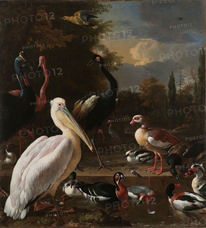 A Pelican and other Birds near a Pool, Known as ‘The Floating Feather’, c.1680. Creator: Melchior d'Hondecoeter.