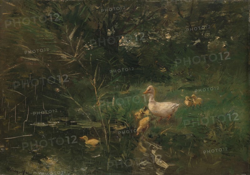 Ducklings, c.1880-c.1907.  Creator: Willem Maris.
