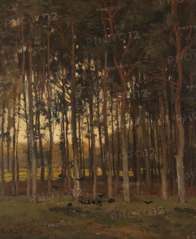View in the Woods, c.1870-c.1904. Creator: Théophile de Bock.