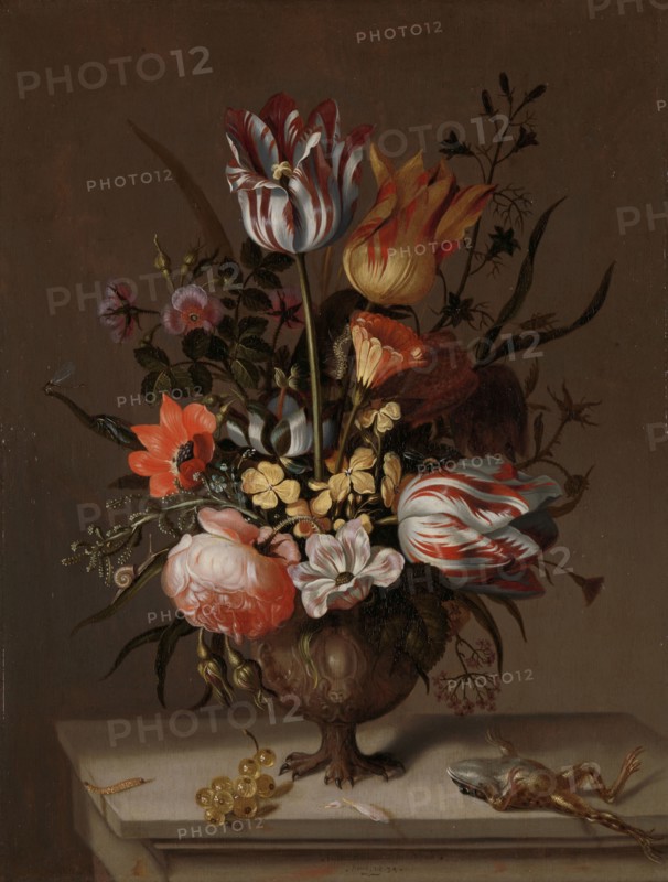 Still Life with a Vase of Flowers and a Dead Frog, 1634. Creator: Jacob Marrel.