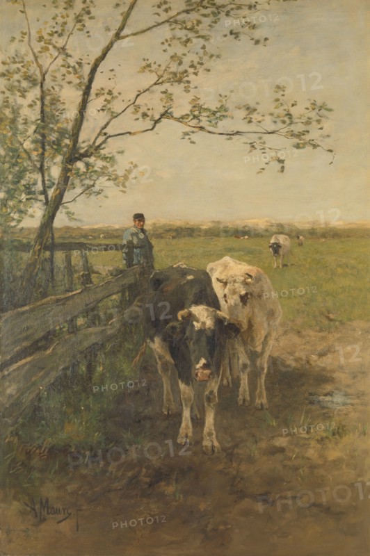 Dairy cows, 1870-1888.  Creator: Anton Mauve.