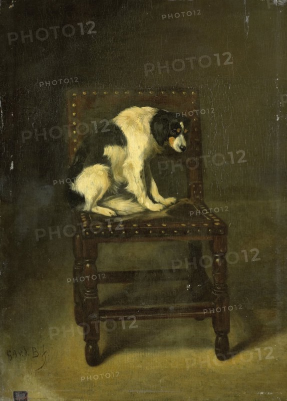 A Dog on a Chair, 1860-1891. Creator: Guillaume Anne van der Brugghen.