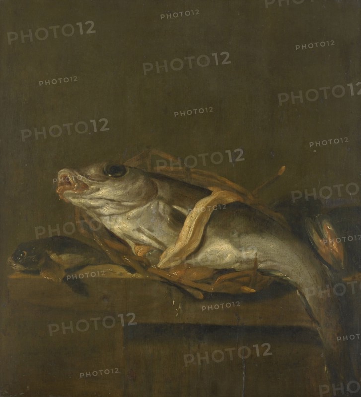Still Life with a Haddock and Gurnard, 1640-1662. Creator: Jan Vonck.
