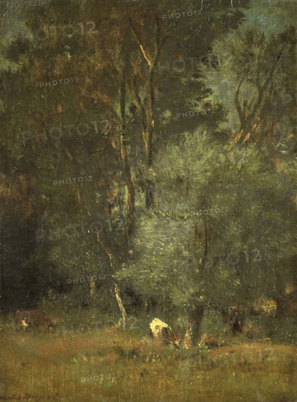 View in the Woods, 1840-1889. Creator: Jules Dupré.