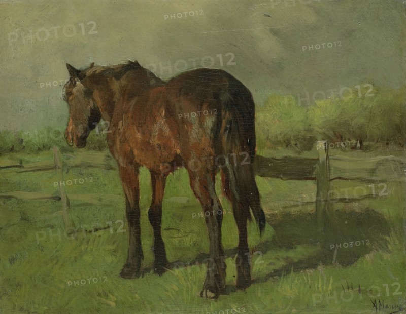 Horse, 1860-1888.  Creator: Anton Mauve.
