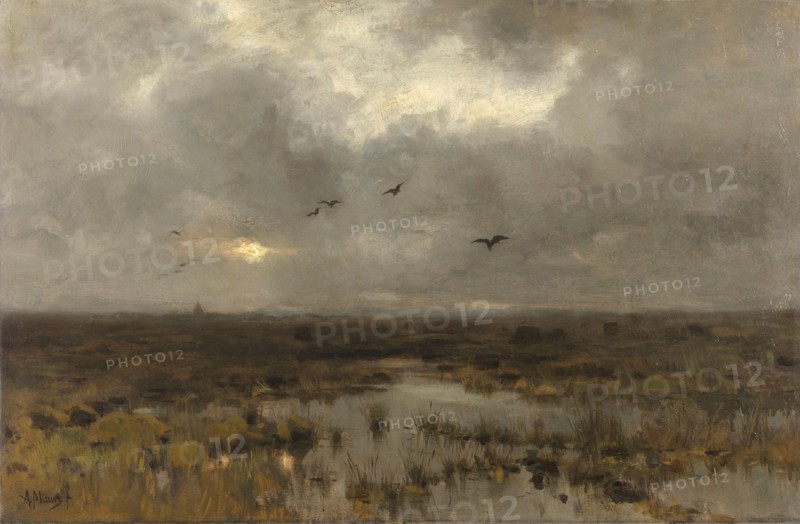 The Marsh, c.1885-c.1888. Creator: Anton Mauve.