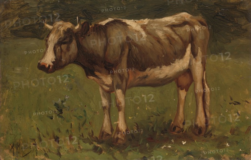 Cow, 1860-1888. Creator: Anton Mauve.