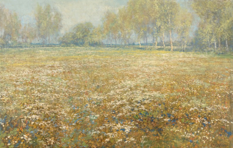 Meadow in Bloom, 1913. Creator: Egbert Schaap.