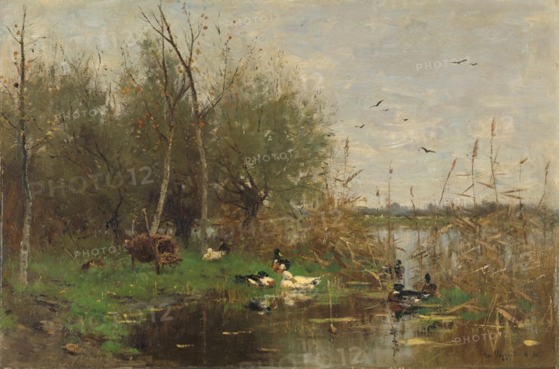 Ducks beside a duck shelter on a ditch, 1884. Creator: George Poggenbeek.
