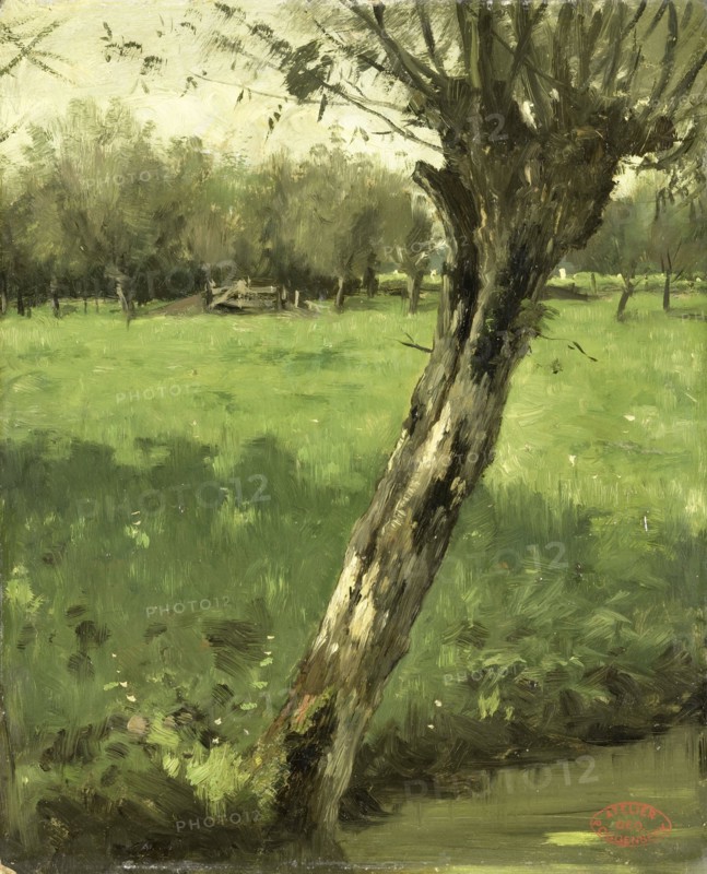 The Willow, c.1873-c.1903. Creator: George Poggenbeek.