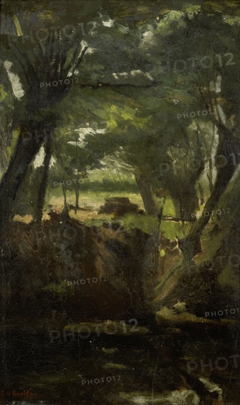 View in the Woods, c.1880-c.1923. Creator: George Hendrik Breitner.