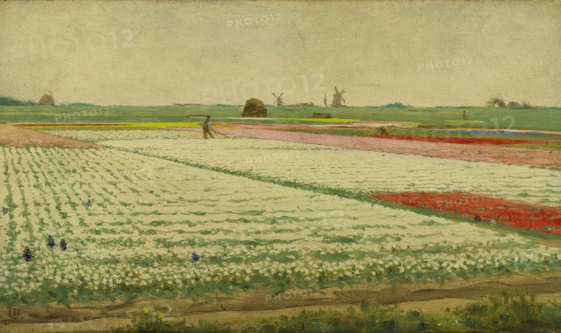Tulip Fields, 1890-1922. Creator: Gerrit Willem Dijsselhof.