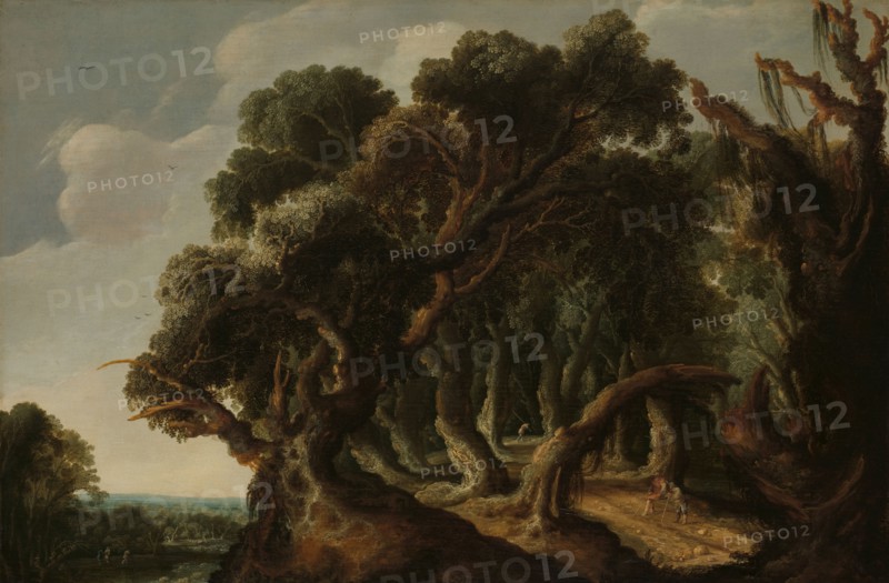 Wooded Landscape, c.1633. Creator: Jacob Jacobsz. Van Geel.
