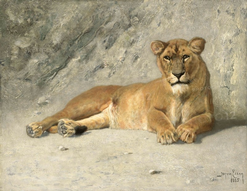 Lioness Resting, 1885. Creator: Jan van Essen.